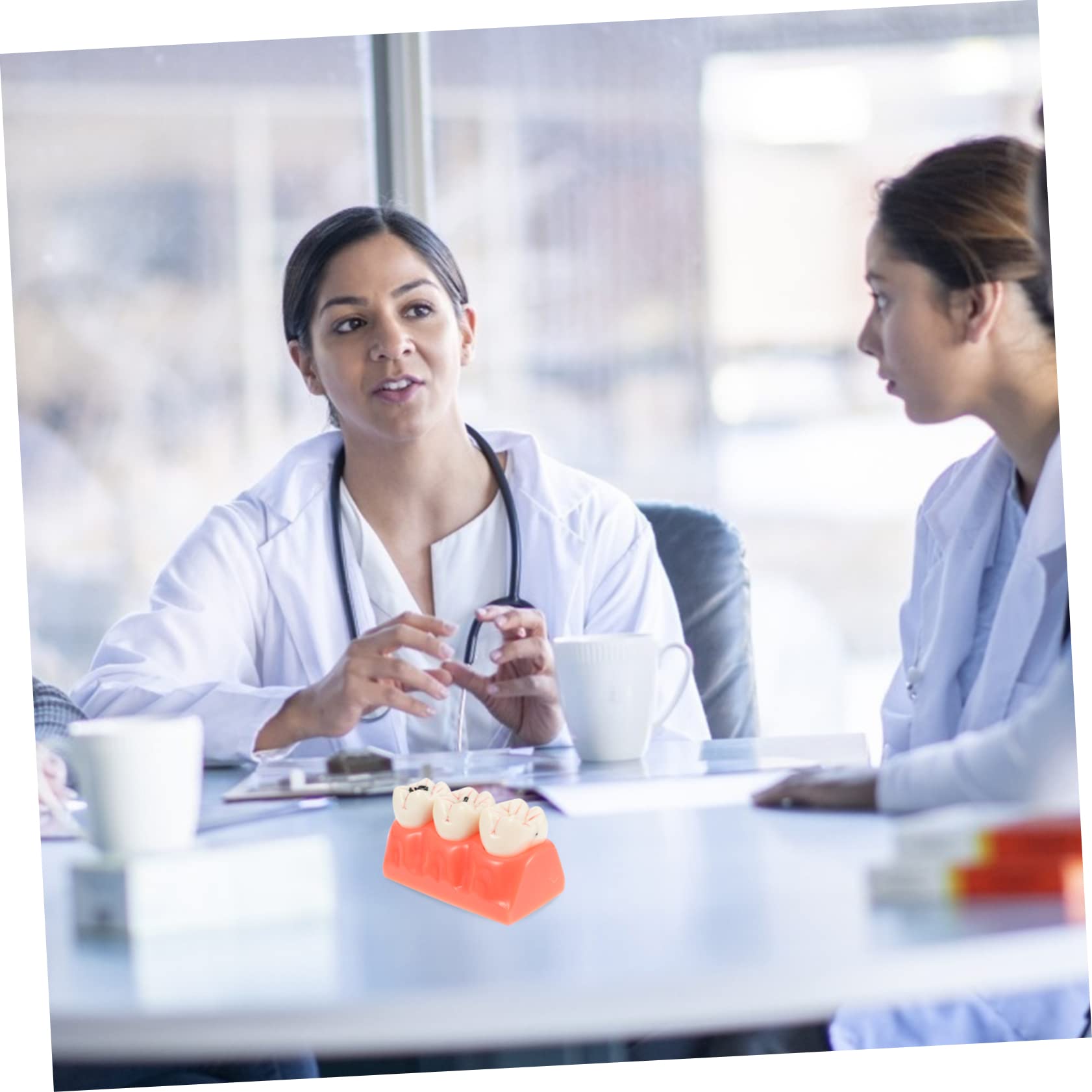 Modello Anatomico dei Denti Rosa in Resina per Insegnamento | 1 Pezzo, Superficie Liscia, Uso in Classe e Dimostrazioni, Supporto Didattico per Studio Odontoiatrico