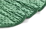 TONGDADA Couverture de lap pondérée 7lbs pour Adulte,Parfait pour la détente, Lounge, Coucher, Dormir & Voyage, couverture du corps pesante de Luxury Minky, couverture de jet de poids vert foncé Minky Dot, 29" x 24"