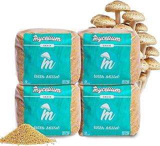 Mycelium Millet Grain Spawn | 4-Pack (3 lb Each) Pre-Sterilized Mushroom Substrate with Self-Healing Injection Port | Ideal for Fast Colonization & Bulk Cultivation | Easy & Ready to Use