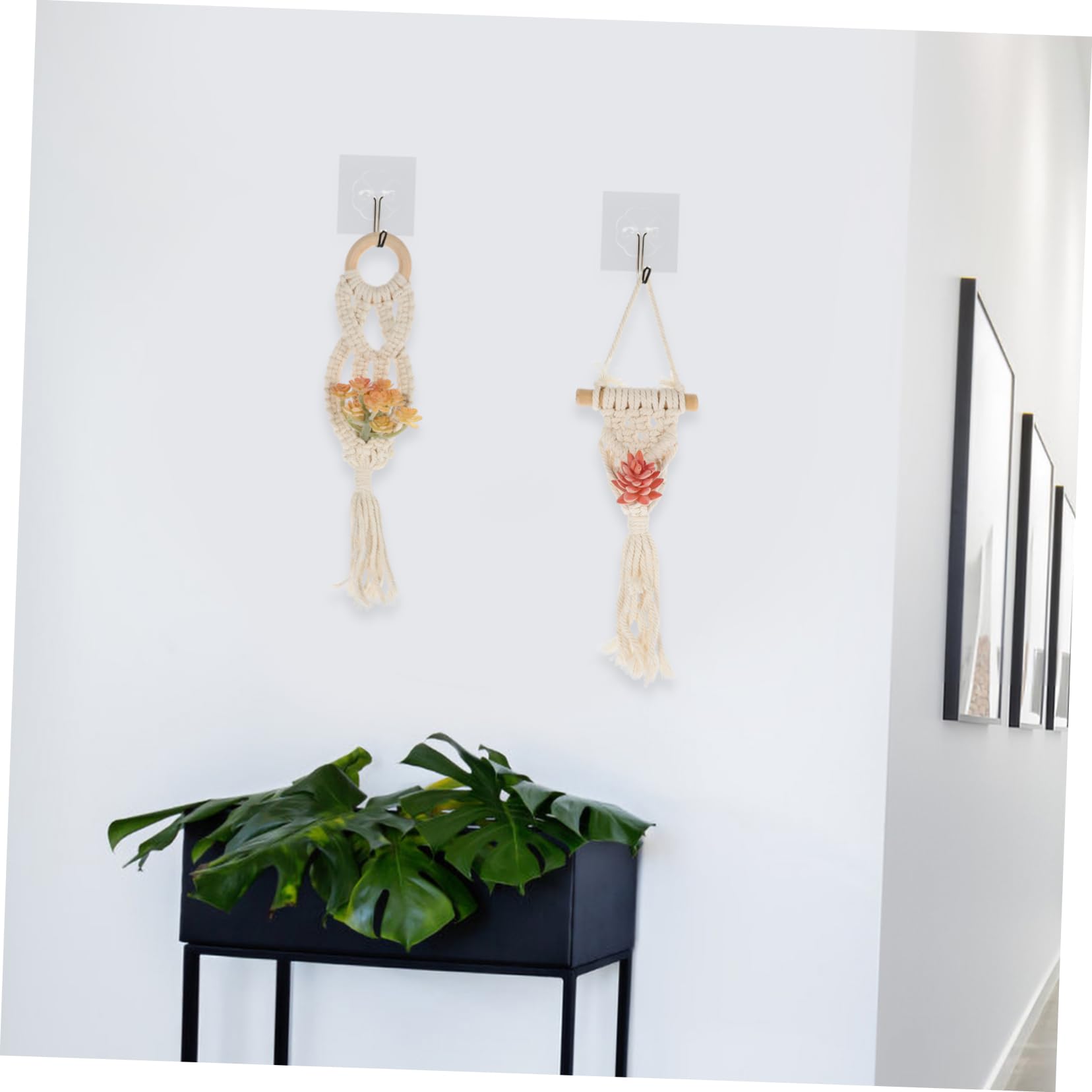 Mipcase Lot De 4 Supports De Plantes Suspendus en Macramé Tissé pour Plantes Aériennes Décoration Murale Unique pour Jardin 2 Pièces X 4