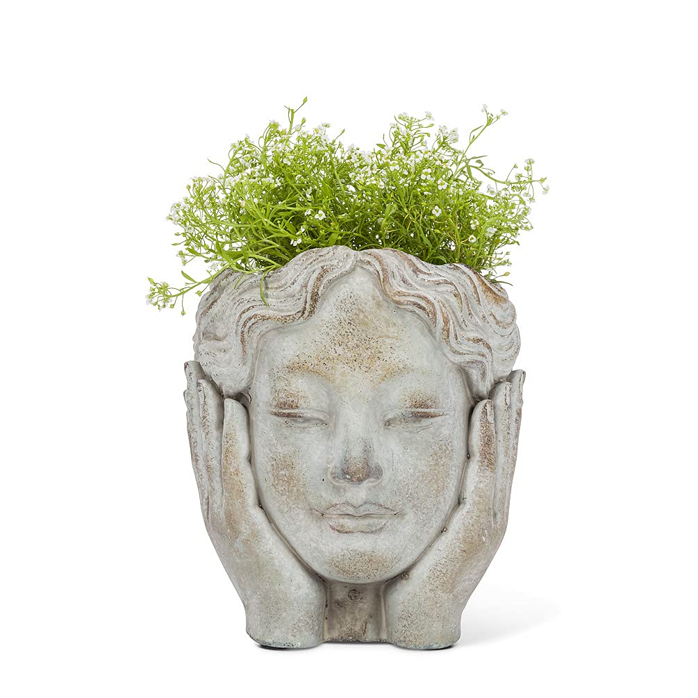 ScarFace様 鉢ごと ScarFace様 鉢ごと Amazon.co.jp: Abbott Collection Home 小型