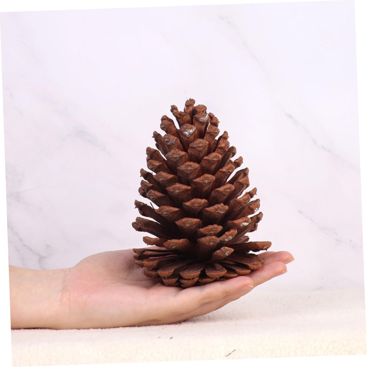 Ornamenti Decorativi in Pigne di Abete per Decorazioni Natalizie 6 Pezzi, Decorazioni Naturali per Casa, Pigne dallo Stile Campagnolo per Arredamento Esterno