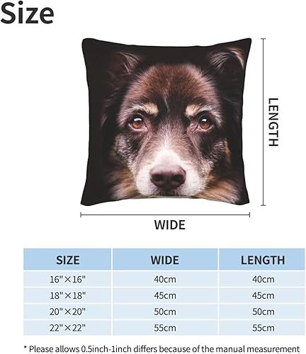 Miniatura 3 de Ovbflc Border Collie Double-Sided Plush Throw Pillow Cover (Pack of 2), Sofa Pillow, Home Decor Pillow Cover, Lumbar Pillow