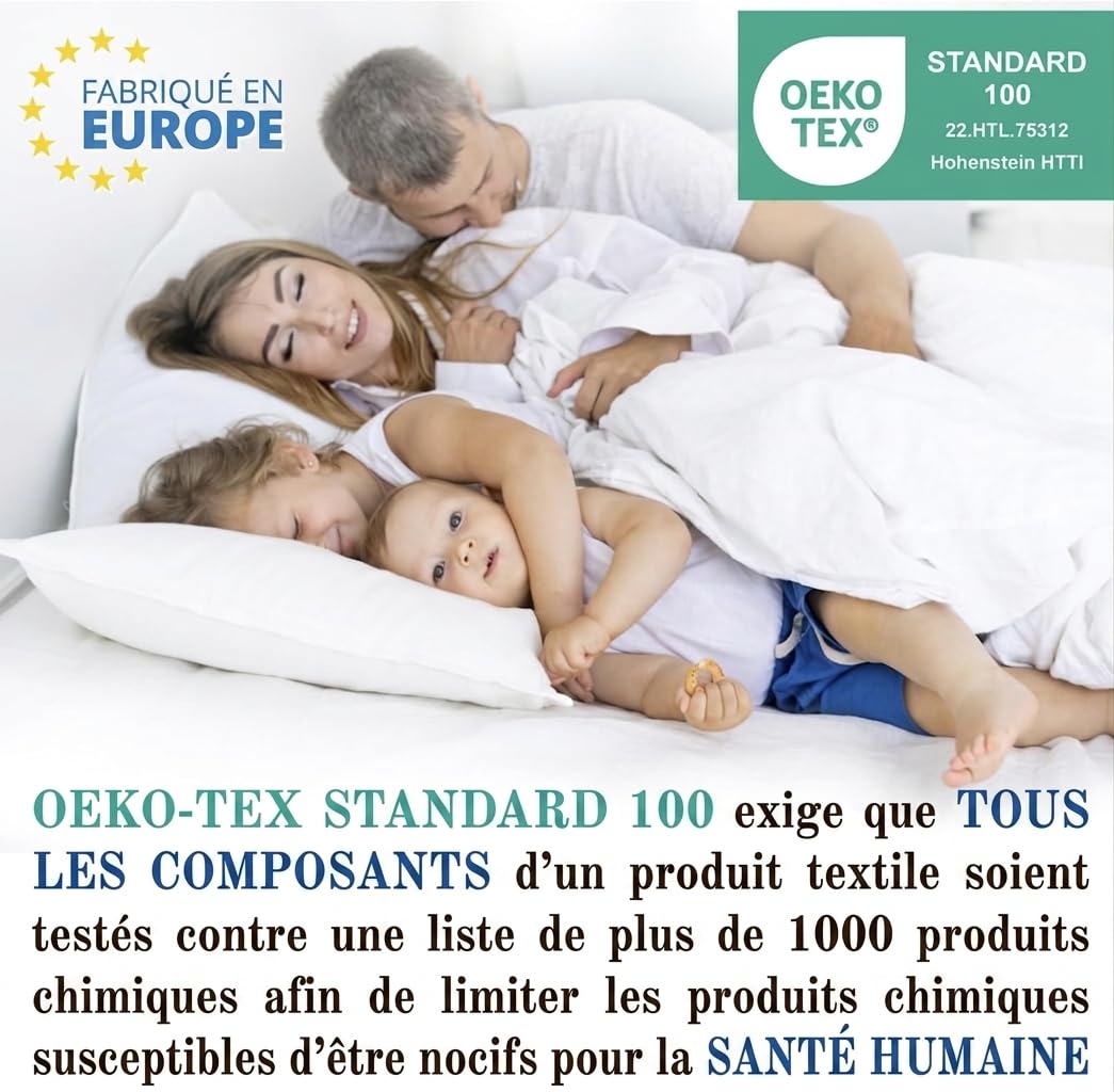 FAM’Home Oreiller 65x65 Lot de 2 | Hypoallergénique Coussin Rectangulaire Respirant et Lavable | Oreillers en Boules de Fibres Creuses en Polyester | Moelleux et Facile d'entretien | Anti Acarien