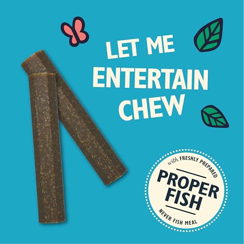 Lily's Kitchen Chew Sticks with Salmon - Grain Free Natural Dental Dog Treats (10 Packs of 3 Chews)