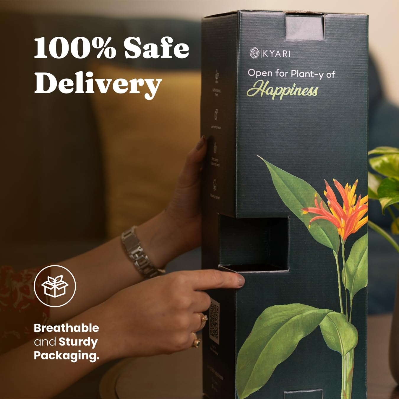 Kyari Zamia Green ZZ Plant - Air Purifying & Self Watering -6