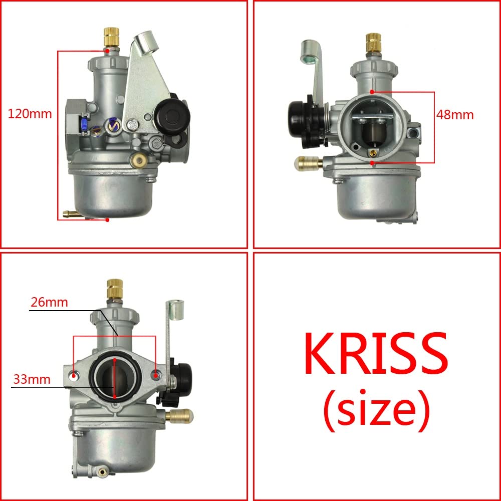 Piezas del Motor De La Motocicleta Carburador Adecuado para & Kriss Kaze Fury125 AVRA110 Motocicletas Carburador Repuesto Moto