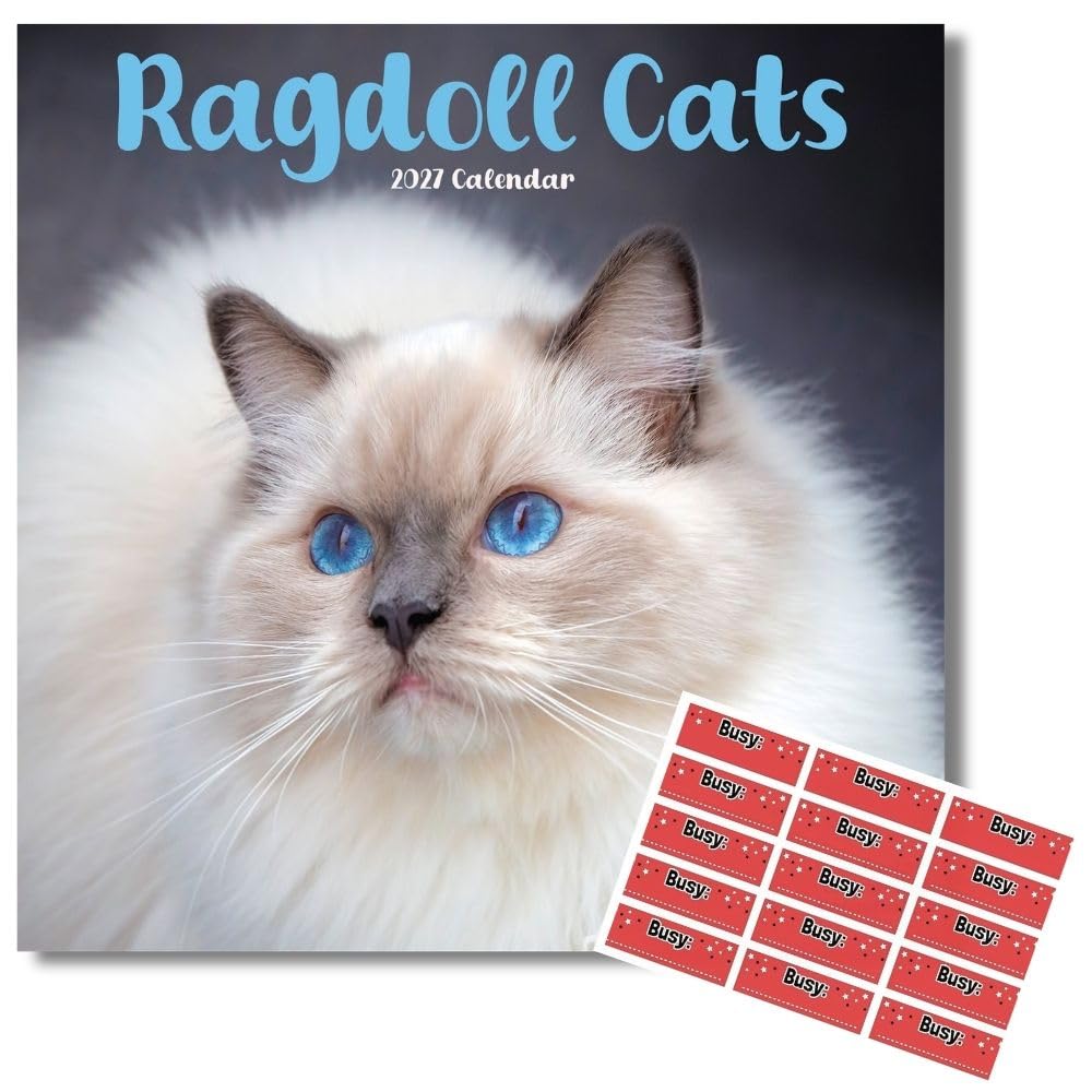 Avonside Ragdoll Cats 2027 Square Calendar with Organisational Stickers