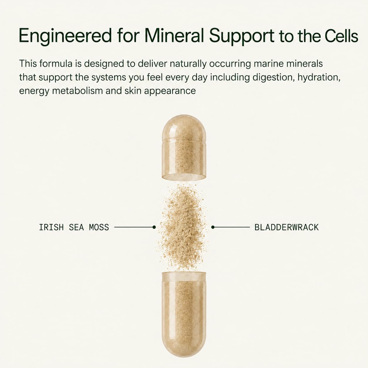 Dr. Sebi's Sea Moss Capsules with Bladderwrack, 1,250mg – Authentic Alkaline Irish Sea Moss for Immune Support, Energy & Joint Health – Wildcrafted, No Fillers – 1 Month Supply (88 Capsules) — Amazon image 4