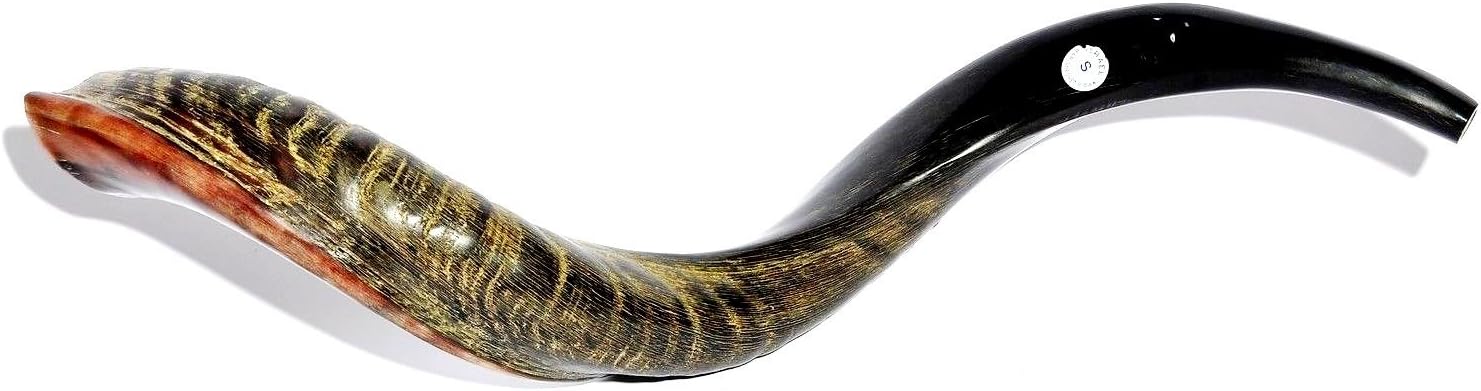 shofar