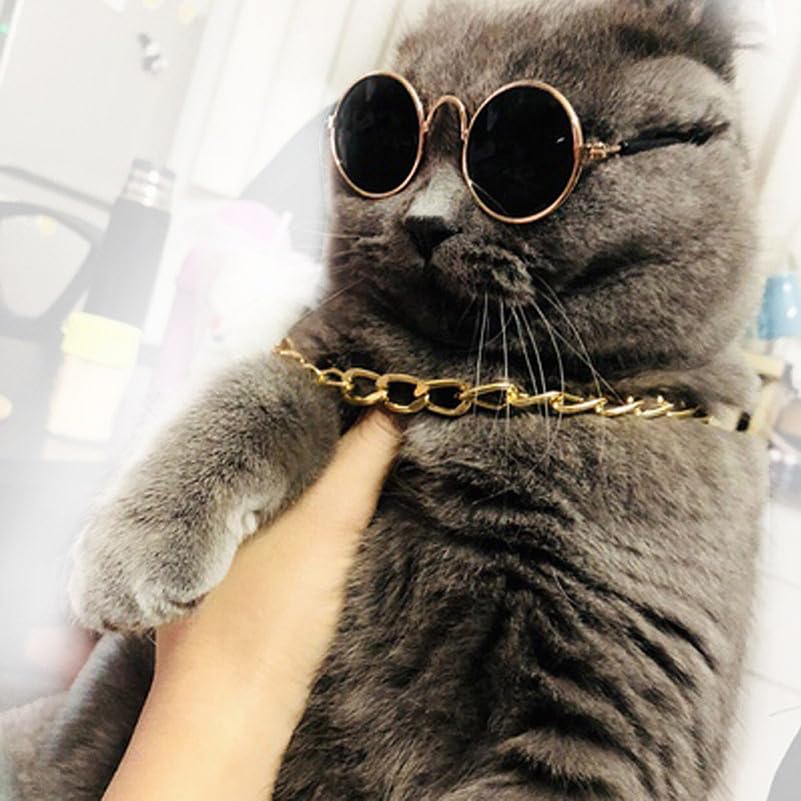 FRCOLOR Pet Necklace Cool Pendant Chain for Small Dogs and Cats Fashion Jewelry Photo Prop Weekend Party Accessory - Image 4