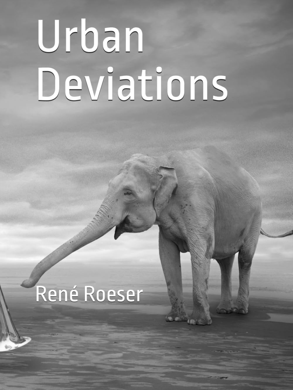 Livre Urban Deviations René Roeser pour sublimer la décoration de votre salon moderne