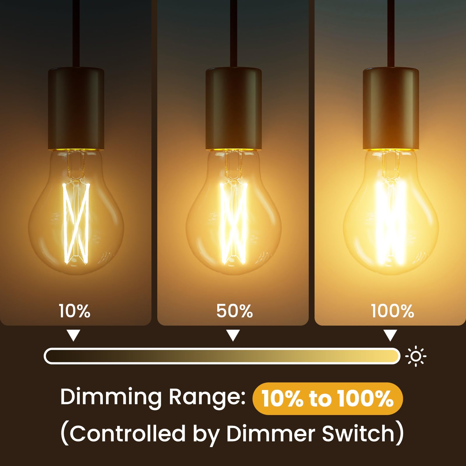 Snapklik.com : 24 Pack A19 Vintage LED Edison Bulbs, Dimmable, 60W ...