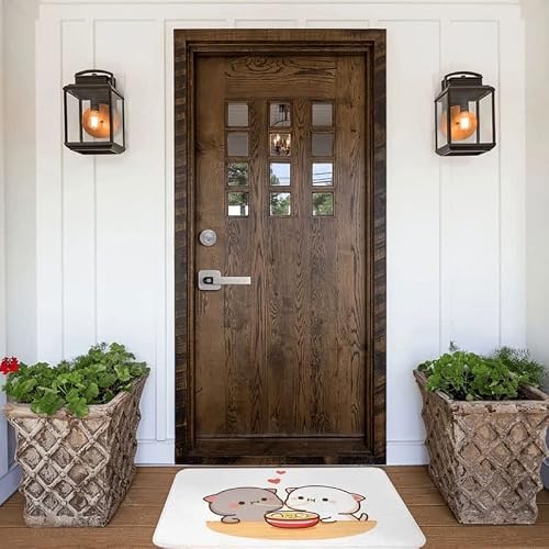 Tbiiexfl Doormat Rug Carpet Mat Footpad Anti-Slip Cushion Entrance Kitchen Bedroom Balcony Toilet Living Room (Color : D, Size : 60X90Cm) #TOP1