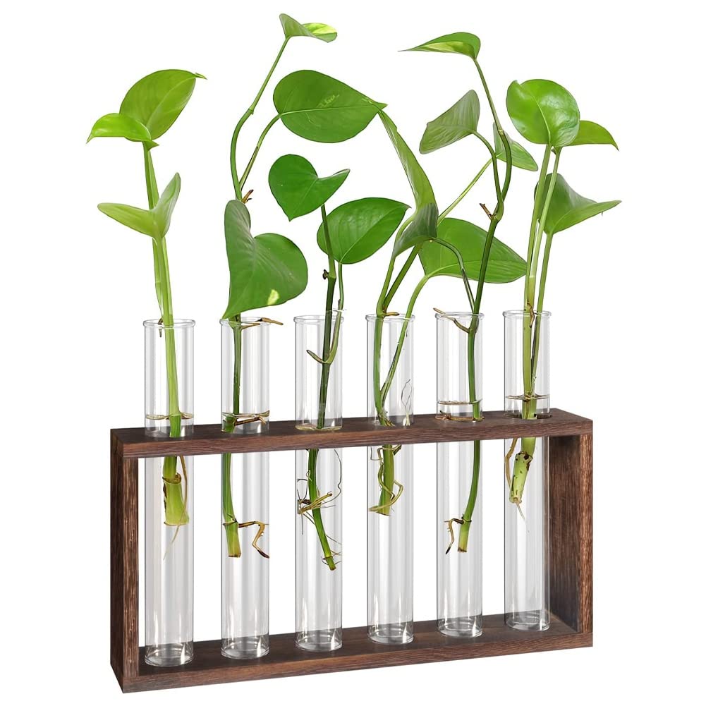 CTRLZS Plant Terrarium with Wooden Stand, Desktop/Wall Hanging Live Plant Propagation Station Glass Tubes Hydroponic