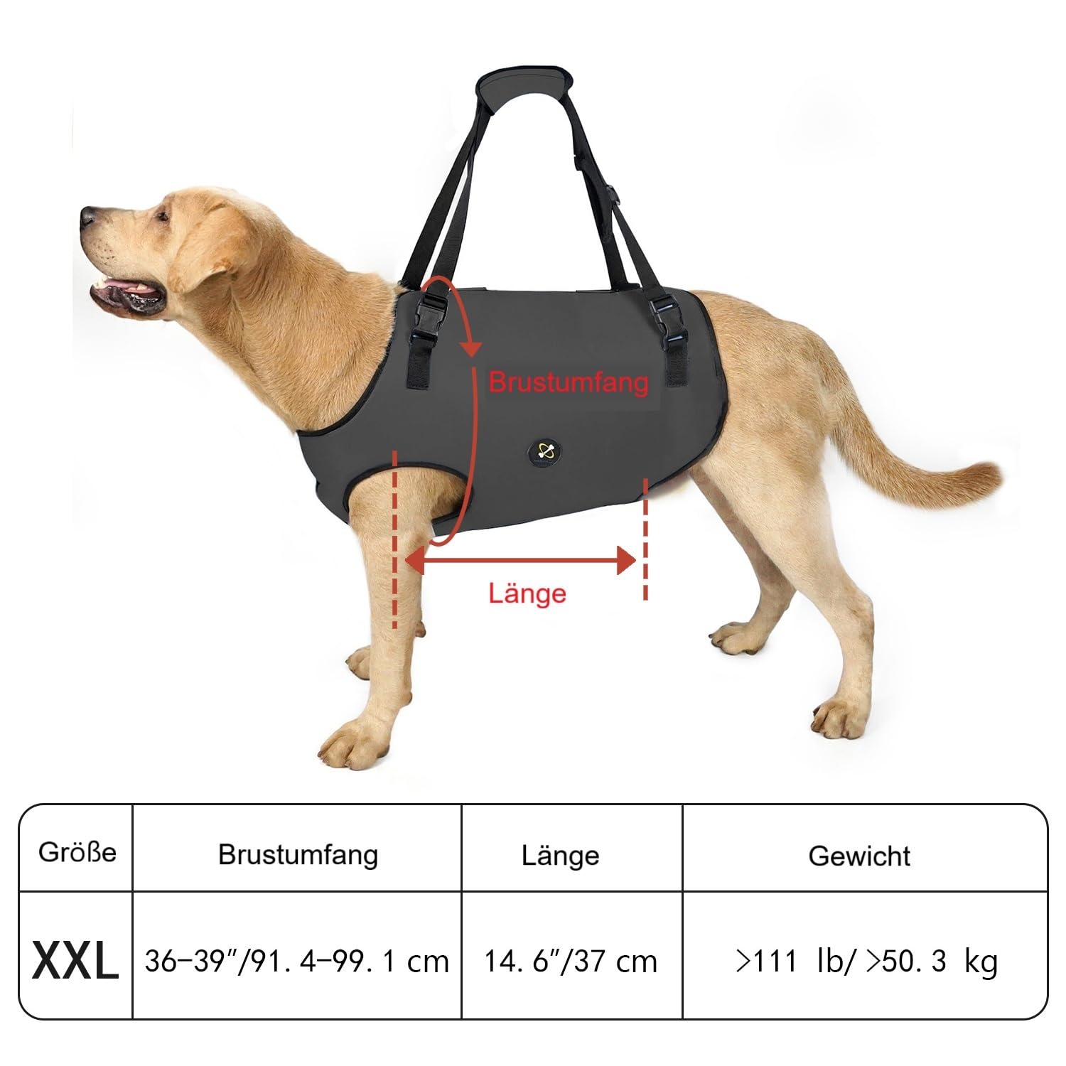 Coodeo Hundeliftgeschirr, Haustierunterstützung & Rehabilitation Sling Lift Verstellbare Gepolsterte atmungsaktive Gurte für Alt, Gelenkverletzungen, Arthritis, Stabilitätsverlust Hunde(Schwarz, 2XL)