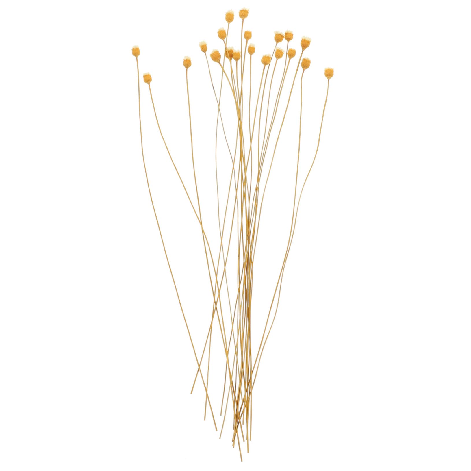 Cabilock 20pcs Aromatherapy Rattan Diffuser Sticks Essential Oil Aroma Diffuse Sticks for Home Decor