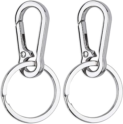Geeice Metal Keychain Holder for Belt Heavy Duty Carabiner with Keyring Clips Organizer for Car Keys, Zinc Alloy, 2 Pack