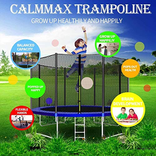 CalmMax Trampolines 12-Foot Jump Trampoline with Enclosure Net, Spring Pad, Ladder - Combo Bounce Outdoor Trampoline for Kids, Adults