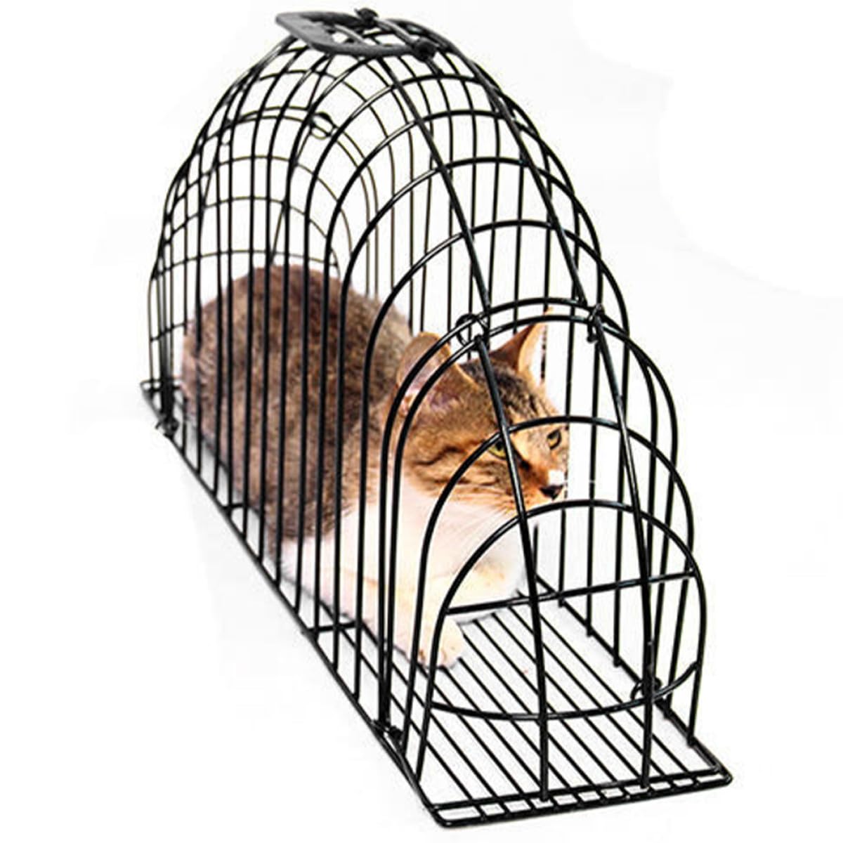 Cage de Bain pour Chat en Matériau Solide Système Anti-Morsures, Cage de Toilettage Adaptée aux Chats Domestiques