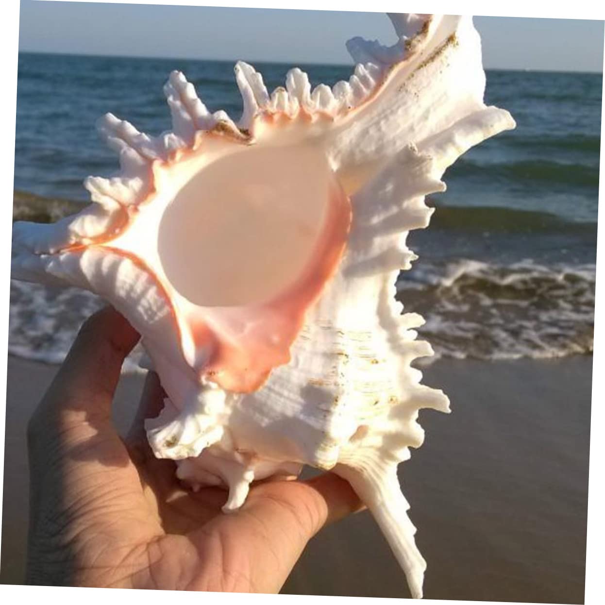 Decorazione per Bianco Decorazione Lifelike per Sicura e Facile