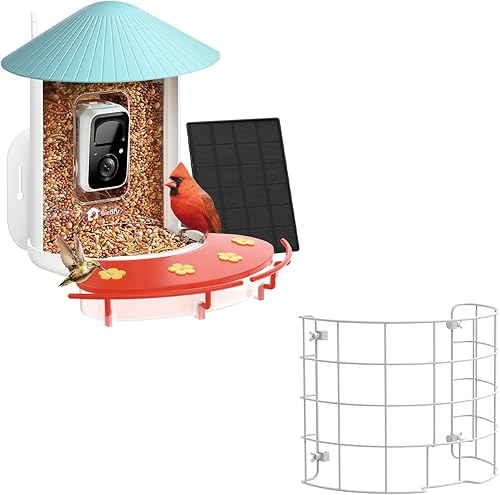 NETVUE Birdfy® Hummee - Comedero inteligente para colibríes con cámara, panel solar y escudo incluidos, videos de aves de captura automática y