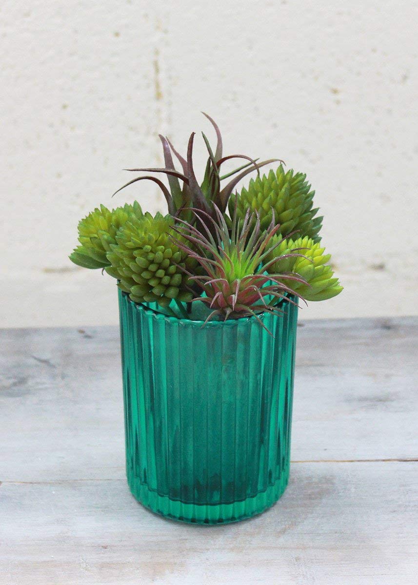 Darice Succulent Assortiment Vert/Rouge