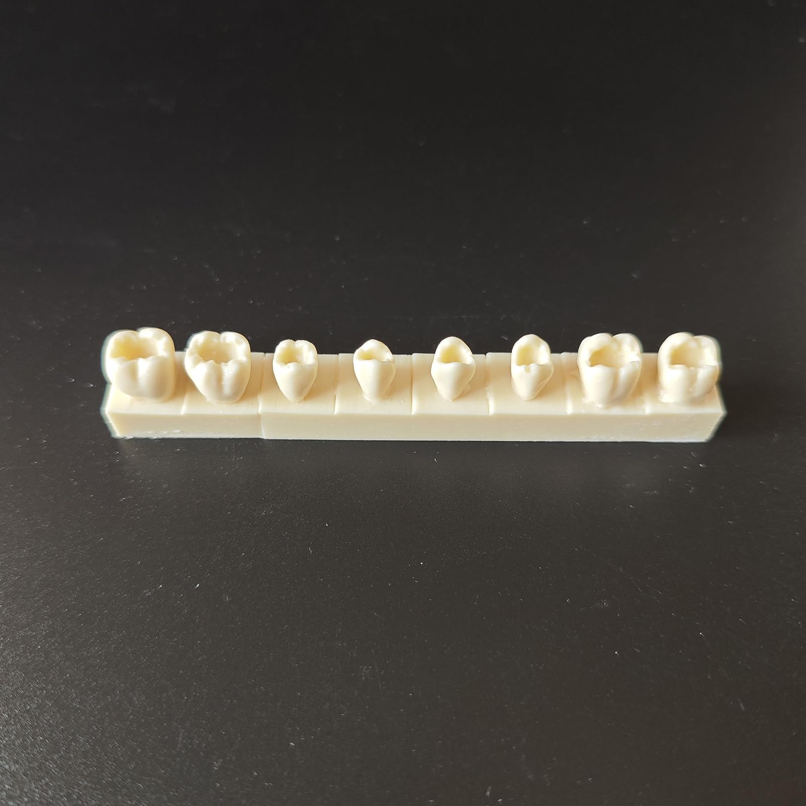 Modello di Pratica per otturazioni dentali in Resina 4 Pezzi Modello di cavità di Classe II Typodont per Studio e insegnamento