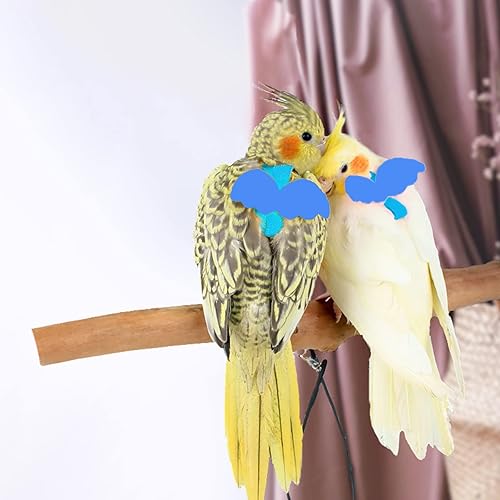 Vista 44 de Dnoifne Arnés y correa de loro, diseño de entrenamiento ajustable antimordida, cuerda de nailon con linda ala para loros, adecuado para Alexandrine