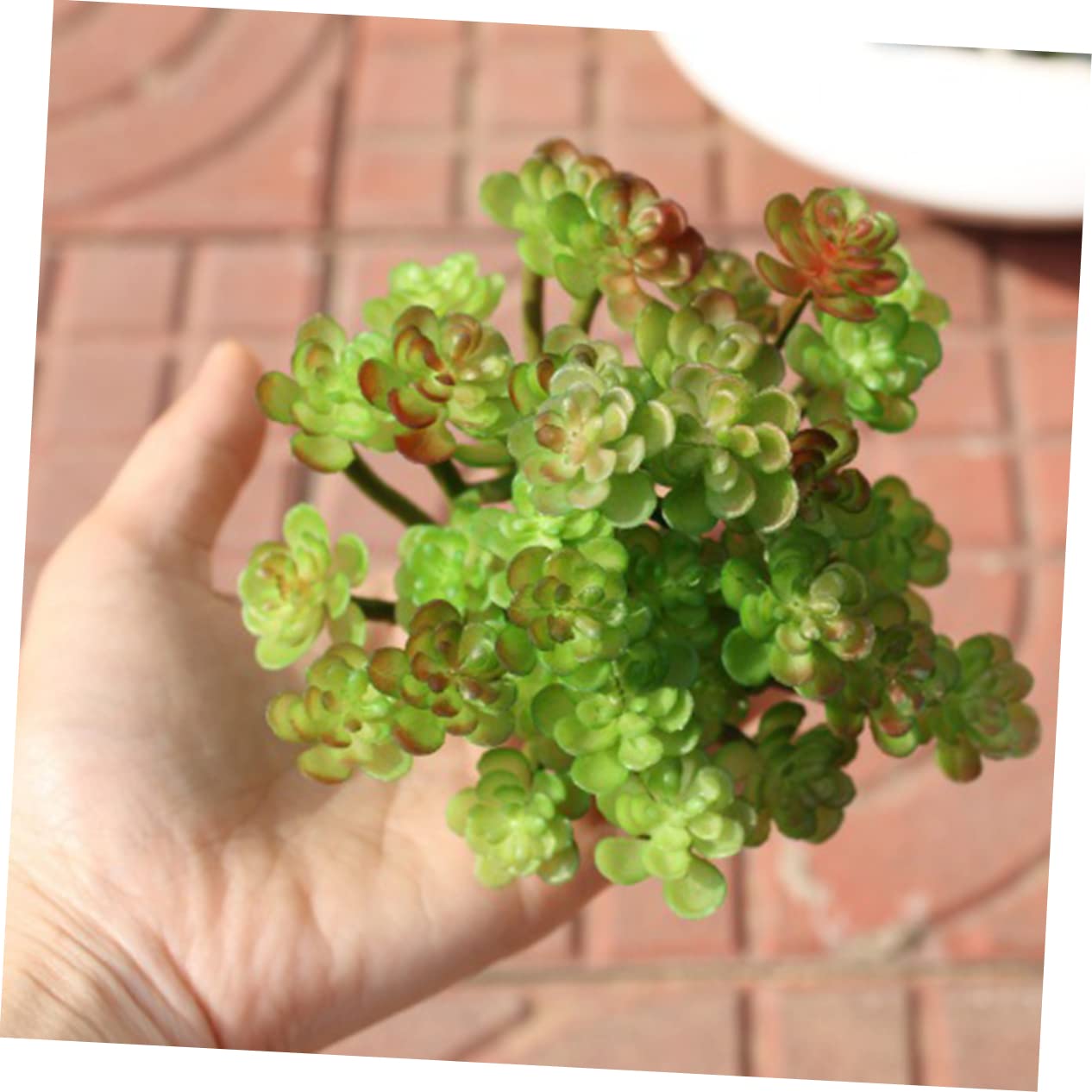 Cabilock Plantes Grasses Artificielles Fausses Succulentes Décorations Intérieures pour Arrangements Floraux
