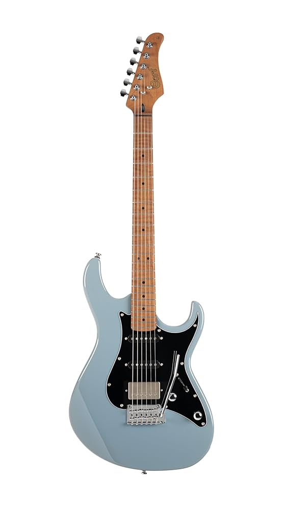 Amazon.com: Cort G250 SE 6-String Solid-Body Electric Guitar