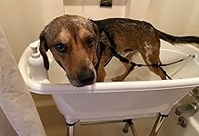 Review Image by Private Private