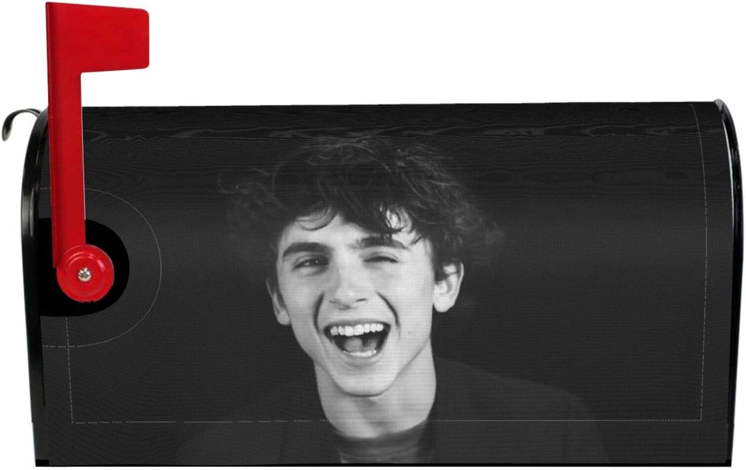 GAGADUCK Timothee Chalamet Mailbox Cover Soft