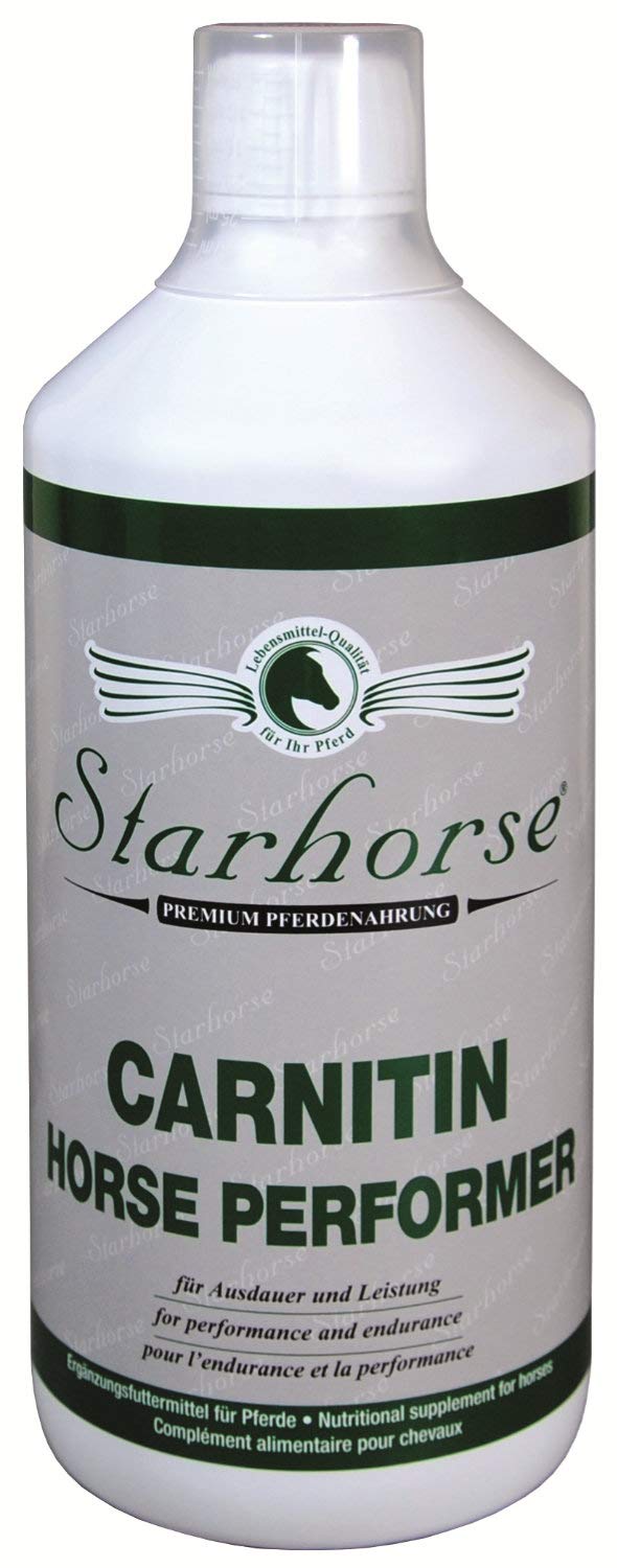 Starhorse Carnitin Horse Performer per Cavalli, 1000 ml