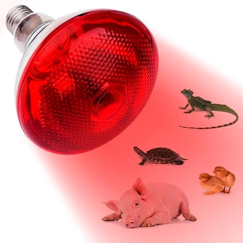 Weciau Lampara Infrarrojos para Reptiles, Lámpara de Luz Roja de 250 W, para Animales Gallinas, Perros