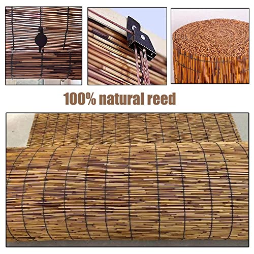 Bamboo Blinds for Patio Sunshades Reed Shade 24 30 34 36 38 40 42 48 56 60 66 Inch Wide Cordless Roman Shades Roller Shades Windows Reed Curtains Anti-UV Bamboo Shades ( 26.8x17.7x9in : 36