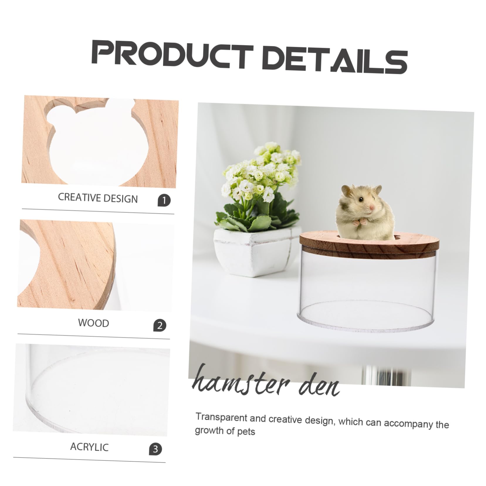 COLLBATH 2stücke Klarer Hamster Sandbad Behälter Mit Holzdeckel Transparente Für Chinchillas Und Kleine Haustiere Für Spiel Und Pflege Im Käfig