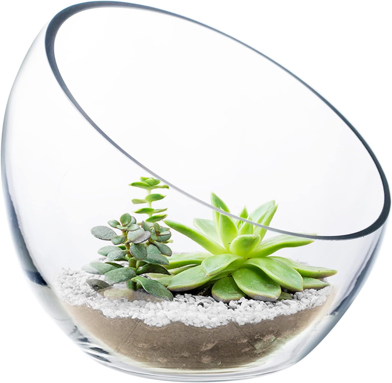 Glass Slant Cut Bubble Bowl (H-6" W-7") Clear Flower Vase Globe Bowl Terrarium Round Planter Decorative Centerpiece