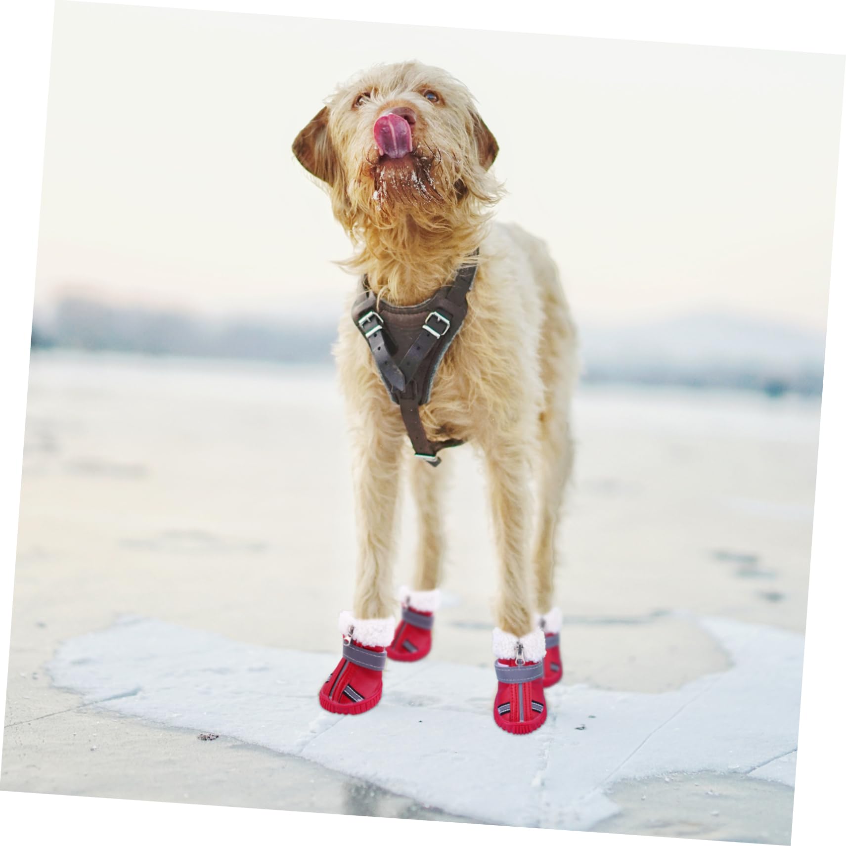 BESPORTBLE 12stücke wasserdichte Hundeschuhe Aus Dicker Für Winter Und Schnee rutschfeste Pfotenschutzschuhe Für Kleine Hunde Und Optimale Pfotenpflege