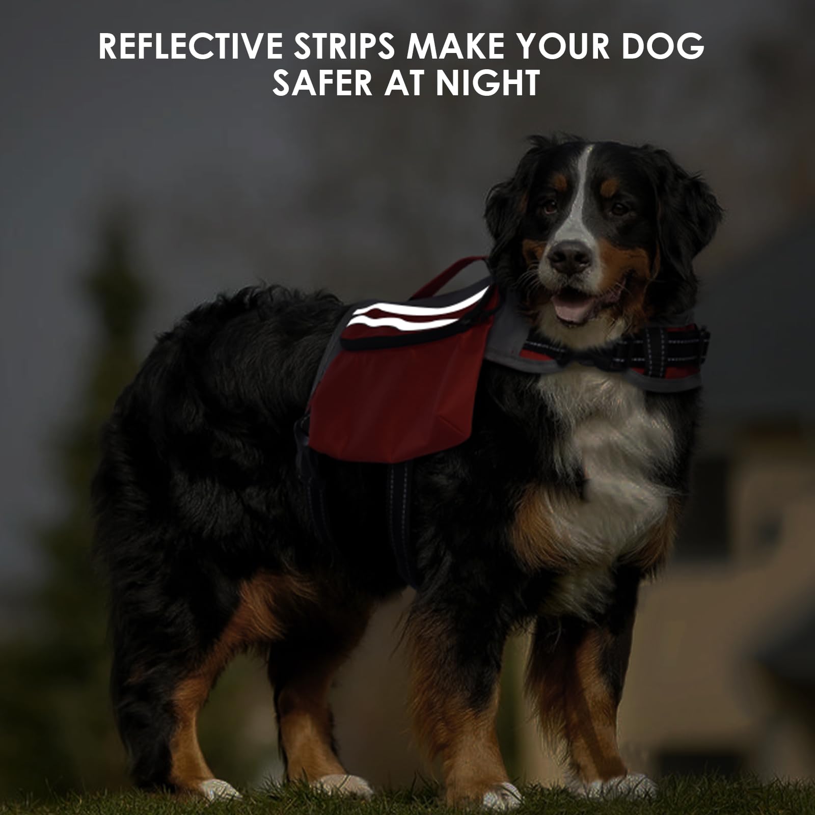 DENTRUN Zaino per cani con tasca laterale e tracolla regolabile, perfetto per viaggi con cani, escursioni e uso quotidiano