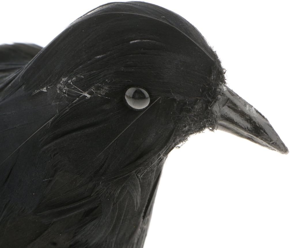 Amazon 鳥モデル カラス 人工鳥 生き生き おもちゃ レイヴン小道具 教育玩具 子供 キッズ 動物 ハロウィーン 全3種選べ 1ブラック ハロウィーン飾り おもちゃ