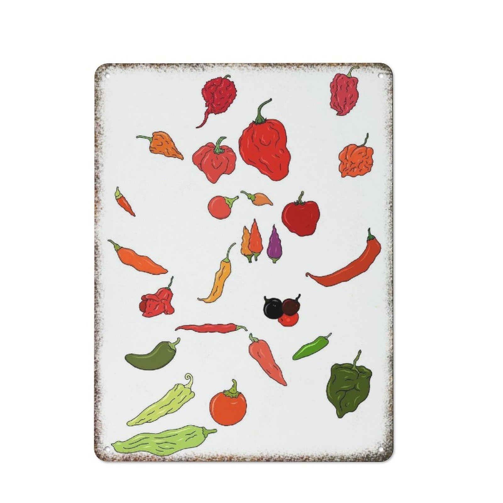 Chilli Retro Farmhouse Man Cave Embossed Metal Guest Wall Decor Sign 8x12 inch