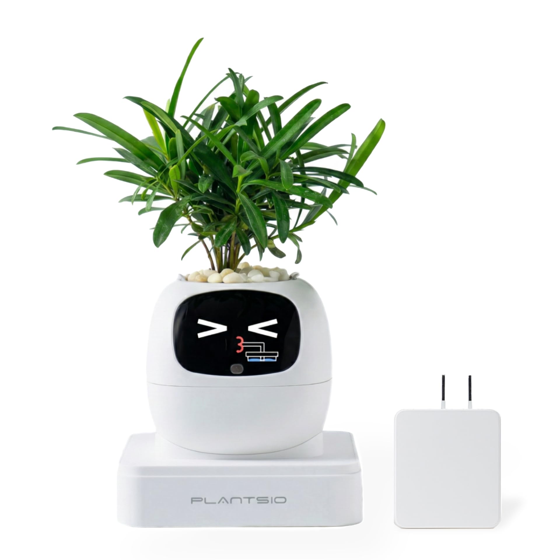 Amazon.co.jp: 【国内販売正規品】 Ivyスマートプランター Gen2