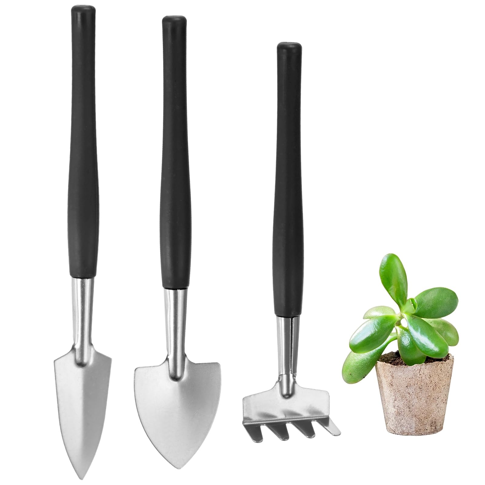 M METERXITY 1-Set Mini Gardening Tools, Stainless Steel Miniature Gardening Rake, Trowel, and Shovel for Seedlings/Bonsai/Succulents/Herbs/Terrariums and Planting [Black]
