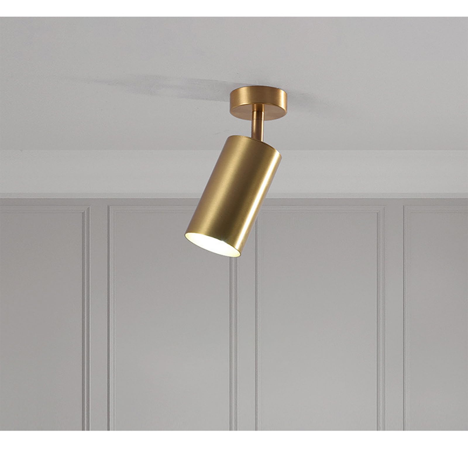 ELEVATOY Gold Ceiling Spotlight Fixed Track Lighting,Adjustable Ceiling Spot Light Indoor Flush Mount Ceiling Spotlights for Kitchen Living Room Bedroom Vanity Mirror Lights