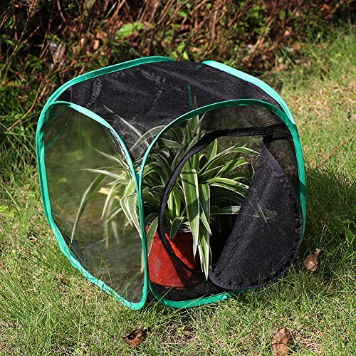 Restcloud Insect And Butterfly Habitat Cage Terrarium Pop-Up 12 X 12 X 12 Inches #TOP2