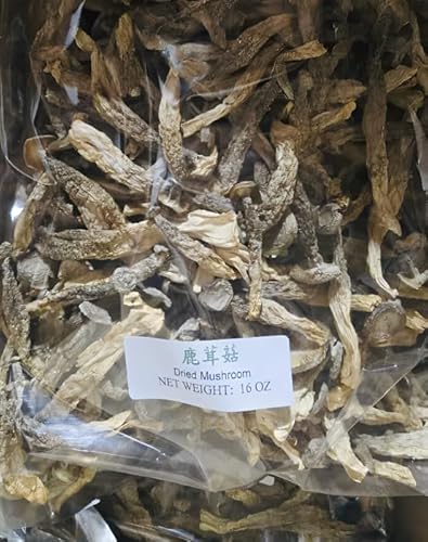 Xi Ge Ge Dried Velvet Mushroom 禧格格顶级鹿茸菇 16 oz