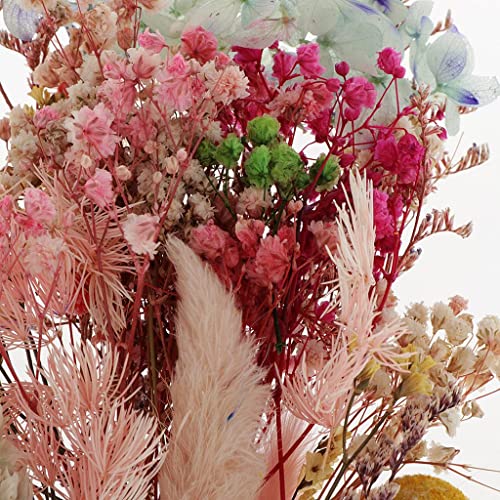 10 piezas flores secas naturales para manualidades miniatura 2