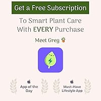 Vista 5 de American Plant Exchange Planta Live Petra Croton, maceta para decoración del hogar y el jardín, maceta de 10 pulgadas