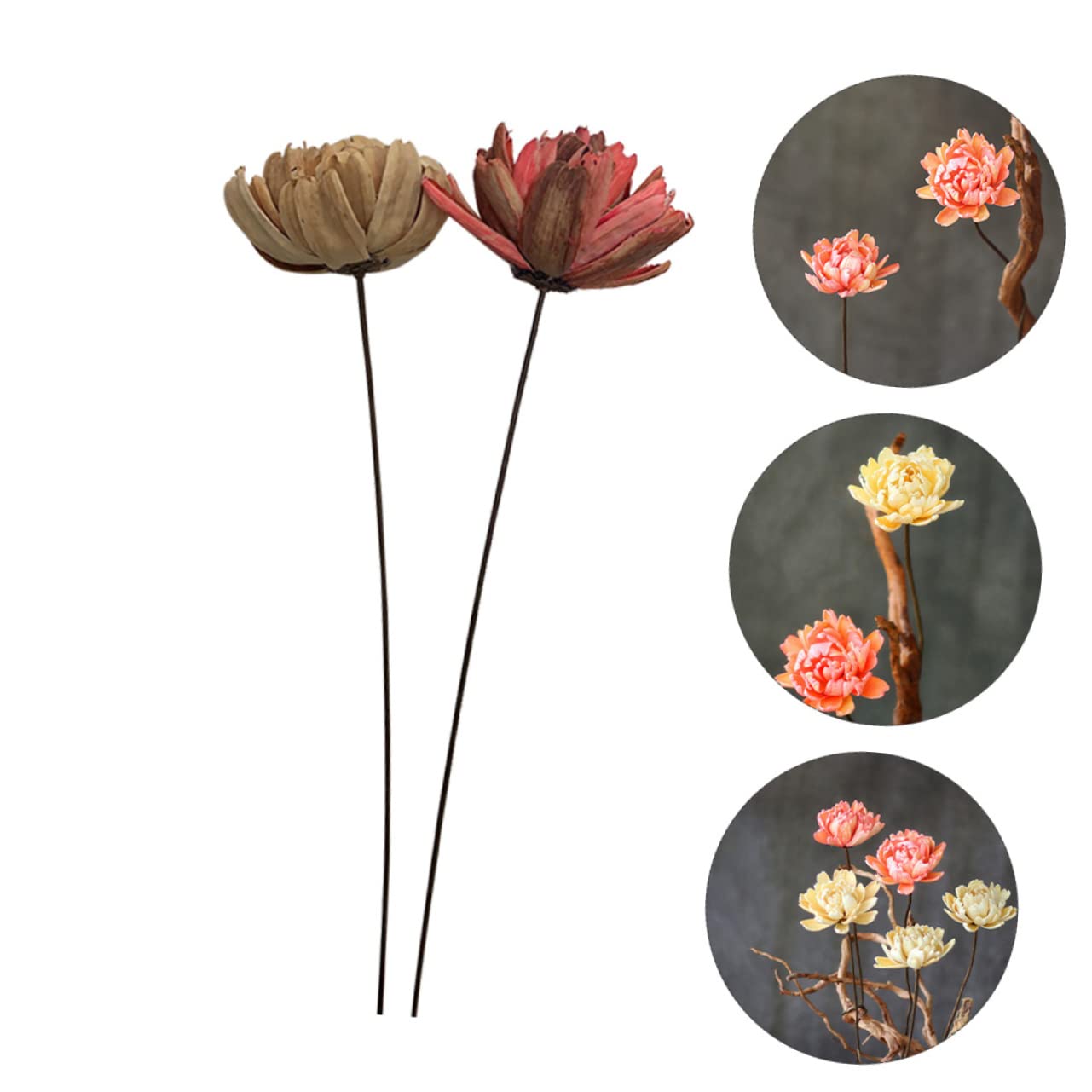 Cabilock Lot de 2 Mini Bouquets de Fleurs Artificielles Séchées Naturelles Décoration pour La Maison Un Mariage